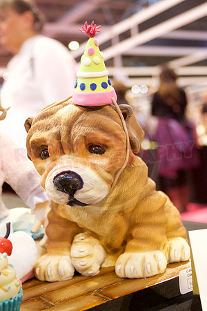 Cake International Cake Entries