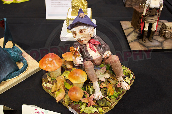 Cake International Cake Entries