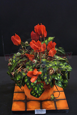 Cake International Floral Entries