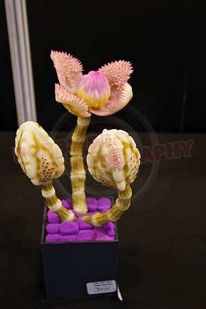 Cake International Floral Entries