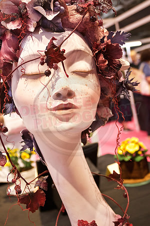 Cake International Floral Entries