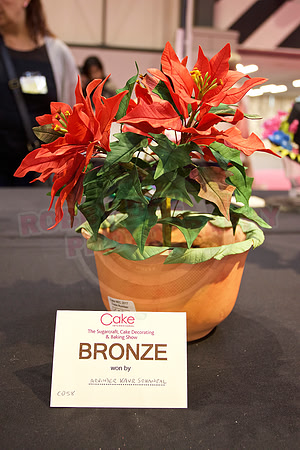 Cake International Floral Entries