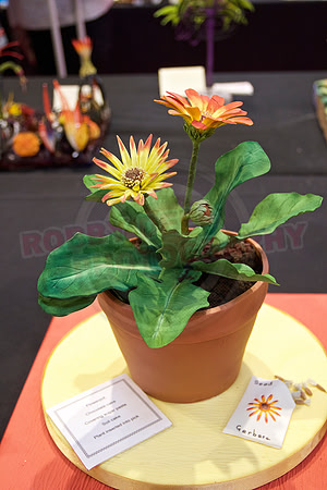 Cake International Floral Entries