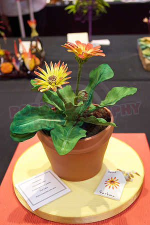 Cake International Floral Entries