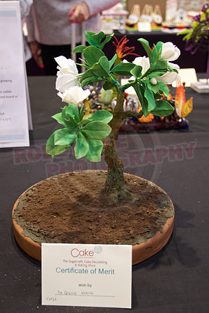 Cake International Floral Entries