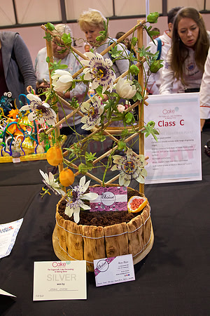 Cake International Floral Entries