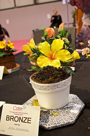 Cake International Floral Entries