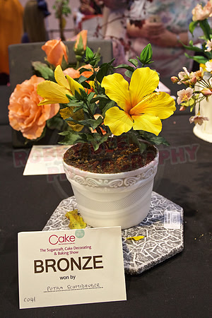 Cake International Floral Entries