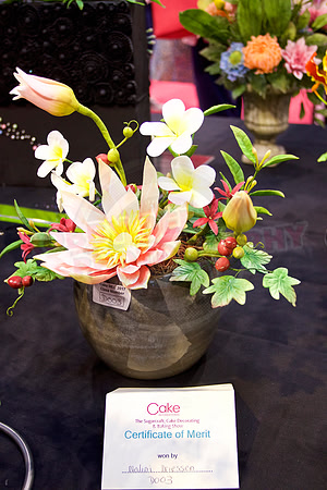 Cake International Floral Entries