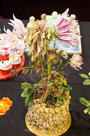 Cake International Floral Entries