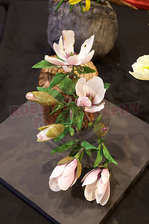 Cake International Floral Entries