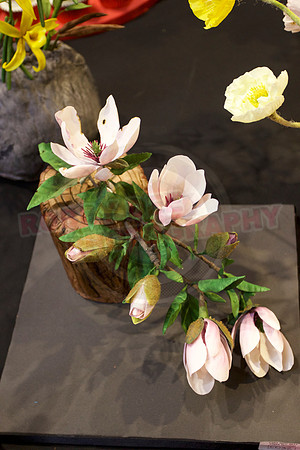 Cake International Floral Entries