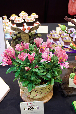 Cake International Floral Entries