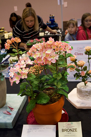 Cake International Floral Entries