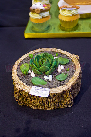 Cake International Floral Entries