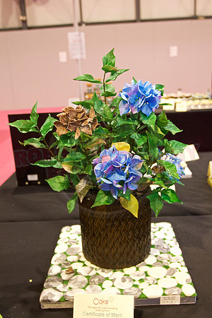 Cake International Floral Entries