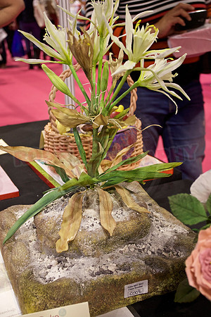 Cake International Floral Entries