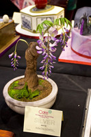 Cake International Floral Entries