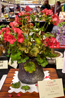 Cake International Floral Entries