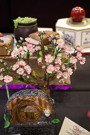 Cake International Floral Entries