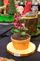 Cake International Floral Entries