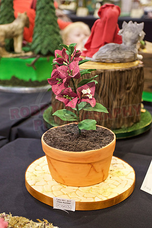 Cake International Floral Entries