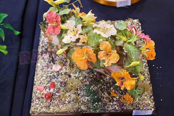 Cake International Floral Entries