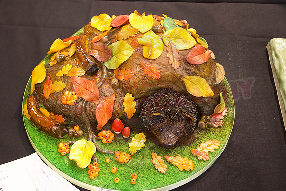 Cake International Cake Entries Gallery Two