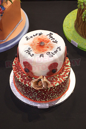 Cake International Cake Entries Gallery Two