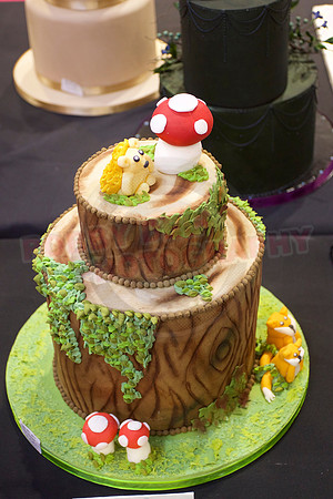Cake International Cake Entries Gallery Two