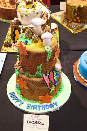 Cake International Cake Entries Gallery Two