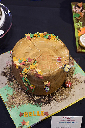Cake International Cake Entries Gallery Two
