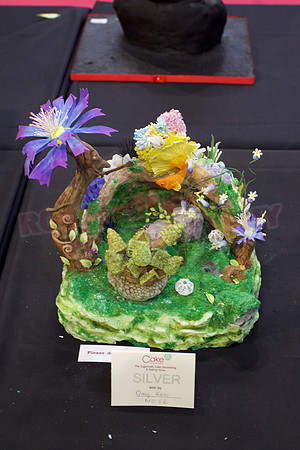 Cake International Cake Entries Gallery Two