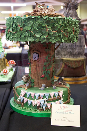 Cake International Cake Entries Gallery Two