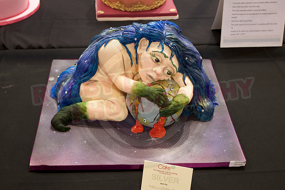 Cake International Cake Entries Gallery Two
