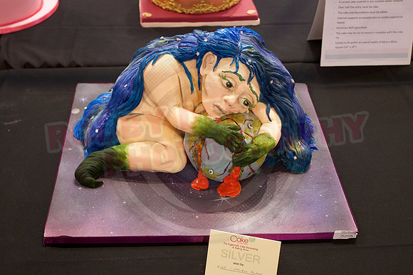 Cake International Cake Entries Gallery Two