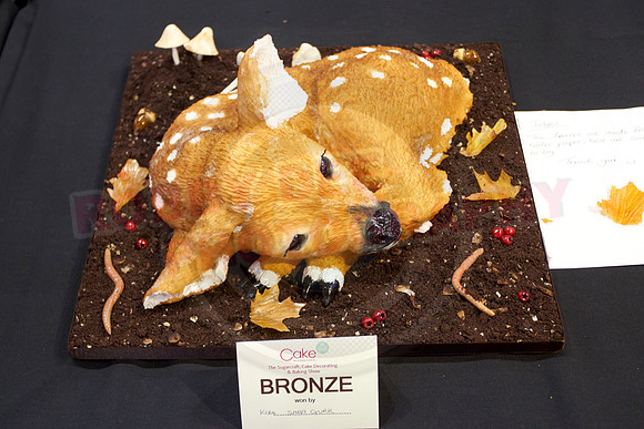 Cake International Cake Entries Gallery Two
