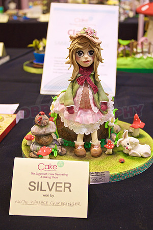 Cake International Cake Entries Gallery Two
