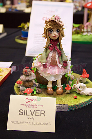 Cake International Cake Entries Gallery Two