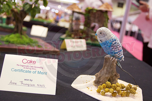 Cake International Cake Entries Gallery Two