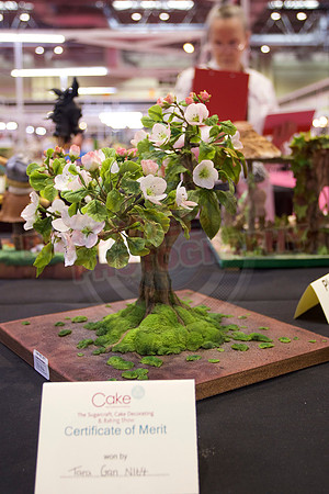 Cake International Cake Entries Gallery Two