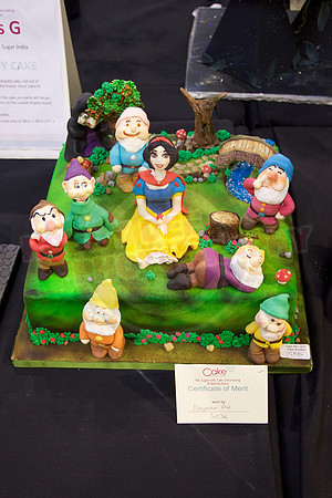 Cake International Cake Entries Gallery Two