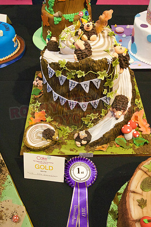 Rosette Winners Cake International