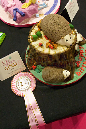 Rosette Winners Cake International