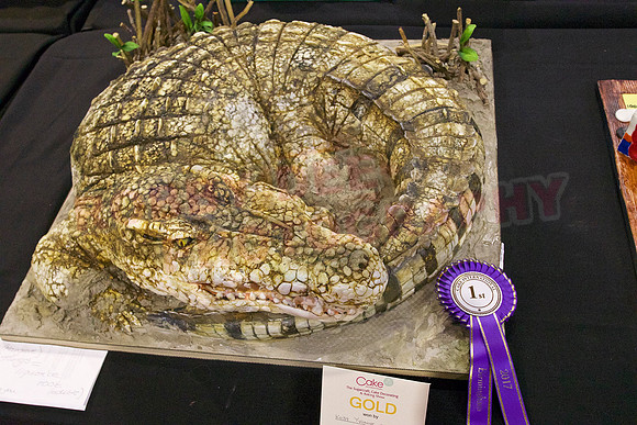 Rosette Winners Cake International