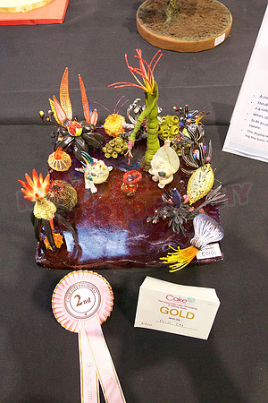 Rosette Winners Cake International