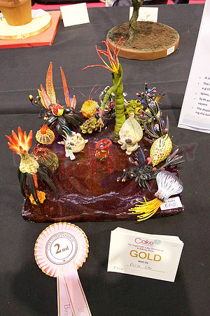 Rosette Winners Cake International