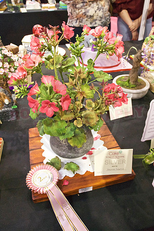 Rosette Winners Cake International