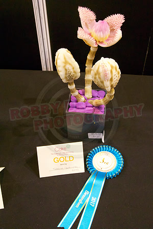 Rosette Winners Cake International