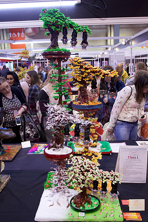 Best in Show Gregoire Goel